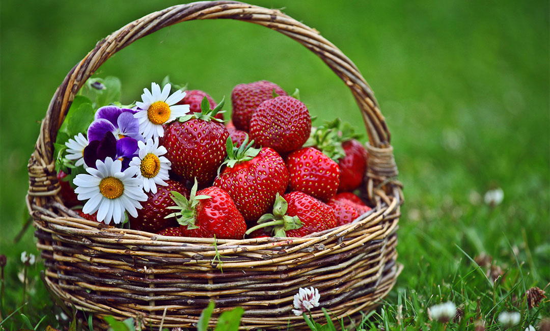 邵阳点呀点水果电商APP开发案例